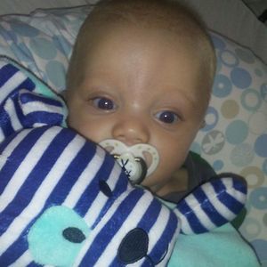 Meet your Posher, Dawn